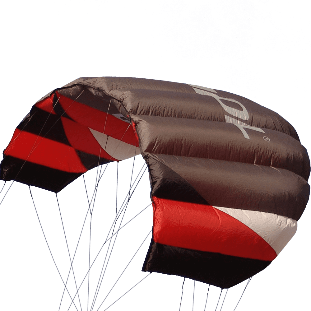 Sting 4 linee Power Kite